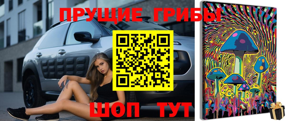 Псилоцибиновые грибы MAGIC MUSHROOMS  Вход с VPN  Торжок 